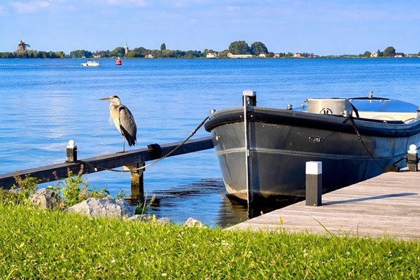 Medium property photo - Galgekade 16, 2371 EL Roelofarendsveen